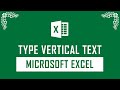 How to Type Vertical Text on Microsoft Excel | Tamil | Excel TIps