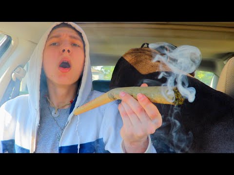 Nate420 - WANNA GET HIGH (OFFICIAL MUSIC VIDEO)
