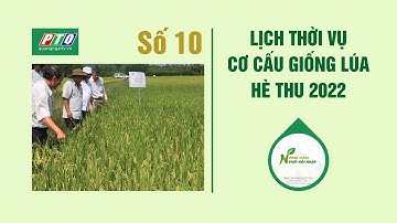 Lịch thời vụ, cơ cấu giống lúa vụ Hè Thu 2022 | Nông dân thời hội nhập số 10