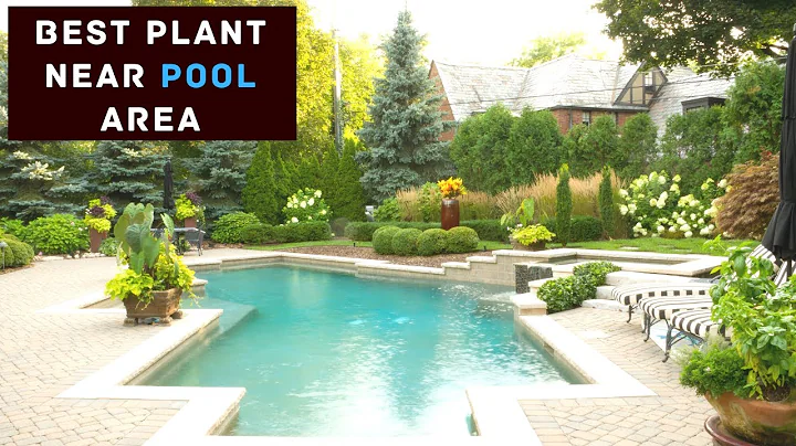 15 Best Plants For Pool Area | Best Plants for around a Pool Swimming Pool | Nursery Lady #ytshorts
