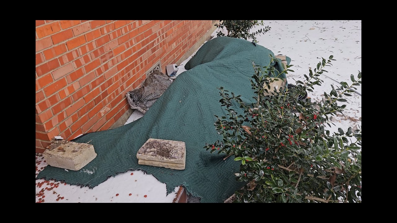 Watch I took a used blanket and made a temporary shelter for raccoons, stray feral cats, possums and more! on YouTube Watch I took a used blanket and made a temporary shelter for raccoons, stray feral cats, possums and more! on YouTube