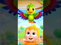 P for Parrot 🦜 | ABC Alphabet Learning for Kids | Learn Letters #kidsvideo #usa