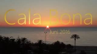 Mallorca Diving 16