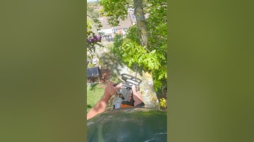 Rigging it round. #arborist #rigging #treework #chainsaw #arbortec