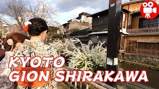 KYOTO GION SHIRAKAWA DORI CHERRY BLOSSOMS WALKING FROM KAMO RIVER 2019 - 4K 60FPS HDR