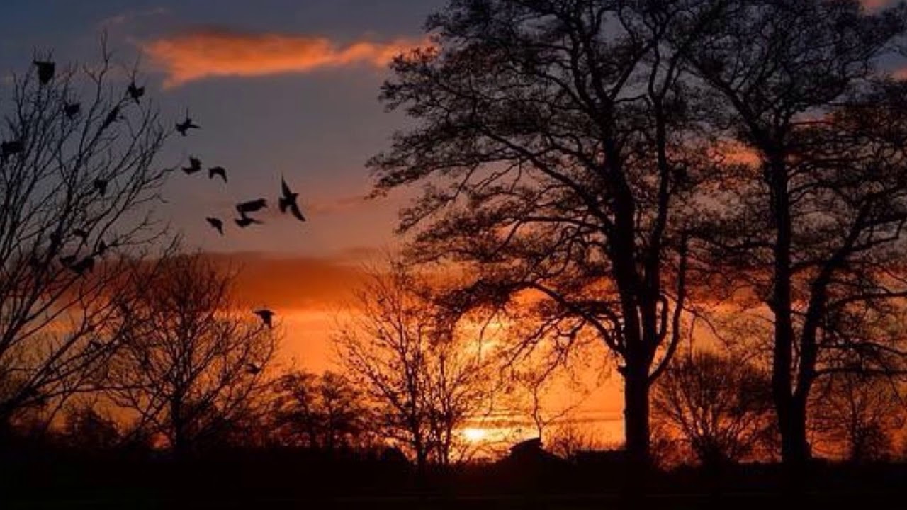 Николай Рубцов - Дорожная элегия - YouTube