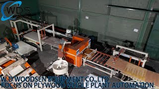 WOODSEN scraping putty machine #plywood #plywoodmachine #scrapingvideo #puttyscrapingmachine