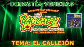 Video thumbnail of "LOS YAGUARÚ DE ANGEL VENEGAS - EL CALLEJÓN"