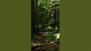 سورة ابراهيم الآية رقم ١٢ | #قران #جمعة_مباركة