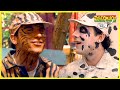  zoboomafoo with the kratt brothers spots and stripes  full episode  animal show for kids