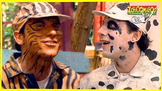 Zoboomafoo with the Kratt brothers! Spots and Stripes | Full Episode | Animal Show for Kids