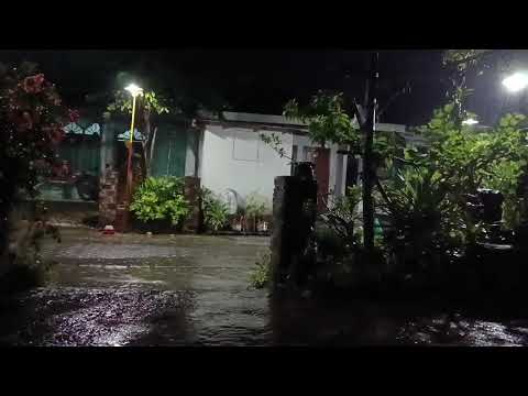 Alan Walker Best Song Top Song Playlist Alanwalker Playlist Edm