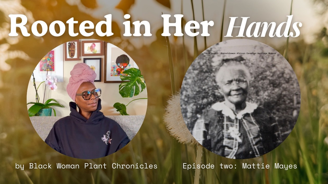 Saskatchewan Rooted Mattie Mayes: Herbal Wisdom on the Saskatchewan Prairies | Rooted in ...
