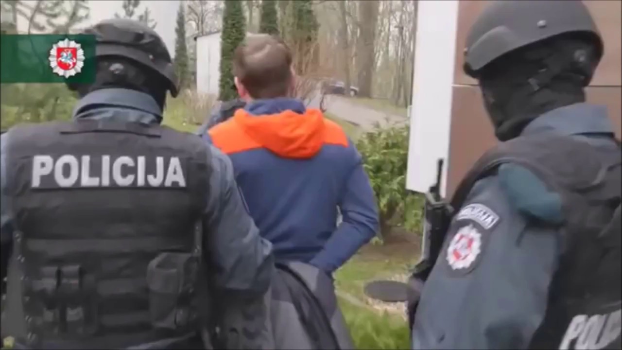 Kamuolinių gaujos sulaikymas