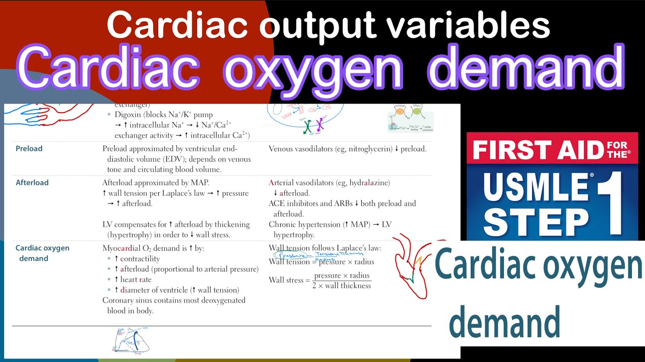 Cardiac oxygen demand in Hindi/Urdu by first aid for USMLE step 1 - YouTube