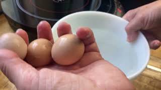 What’s in a pullet or fairy egg?