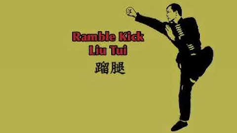 Tan Tui - Basic Kicks