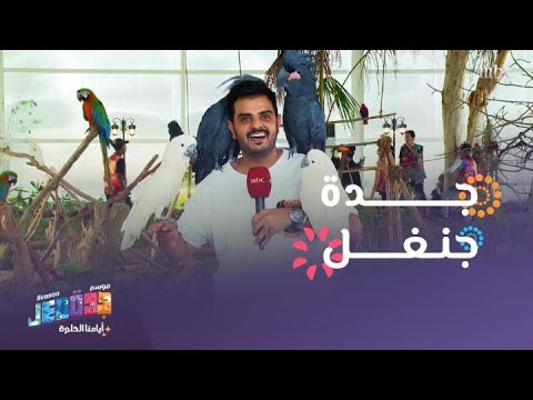 أقوى التجارب الثرية والفعاليات الشيقة في جدة جنغل 