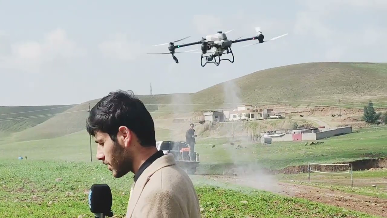 درون و بژاره 