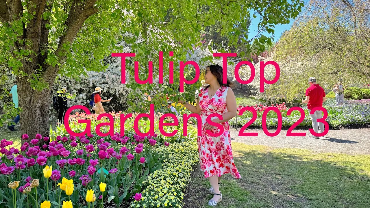 Tulip Top Gardens, Sutton, NSW Australia YouTube