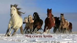 Mój czarny koń (Мой конь вороной) - piosenka o wojnie domowej w Rosji