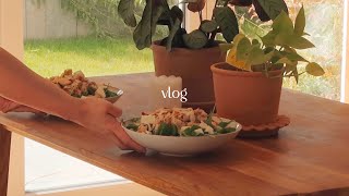 What I eat in a day | 3 different dishes with the best chicken recipe