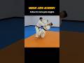 소매 업어치기 Sode tsurikomi goshi
