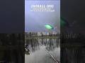 Jackall 10СС #jackall #fishing #рыбалка