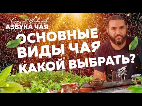 Видео: Обзор 10 лучших брендов чая, которые стоит попробовать в 2021 году