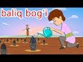 baliq bog'i | multfilm | O'
