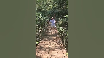 Swinging Bridge Video Vallarta Botanical Gardens