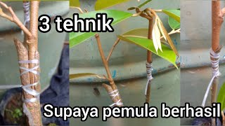 3 TEHNIK SAMBUNG PUCUK DURIAN UNTUK PEMULA (part 2) @Kreatifpetani