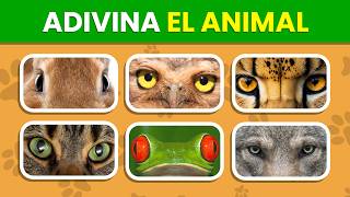 Adivina el ANIMAL por la MIRADA 👀🐸🐙| Reto de 51 Animales con ZOOM 🤓✅