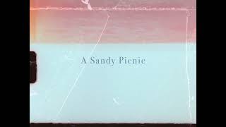 A Sandy Picnic: An 8mm Short Film