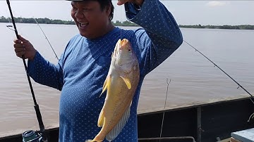 Câu cá giải trí, lần đầu tiên lên cá Sủ Vàng | Sông Nước Cần Giờ - Châu Huỳnh.