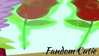 The Foxes Wedding-Pmv