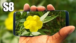 How do the cameras on galaxy s8 hold up? let's find out in this video!
where to buy s8? flipkart - http://fkrt.it/xjabn!nnnn amazon.com
http...