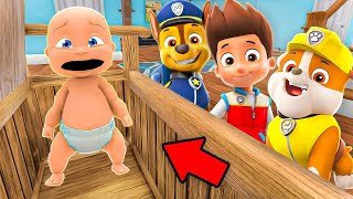 Baby and PAW PATROL Play Hide and Seek! by Bubbles and Gummy 17,095 views 4 days ago 4 hours, 13 minutes