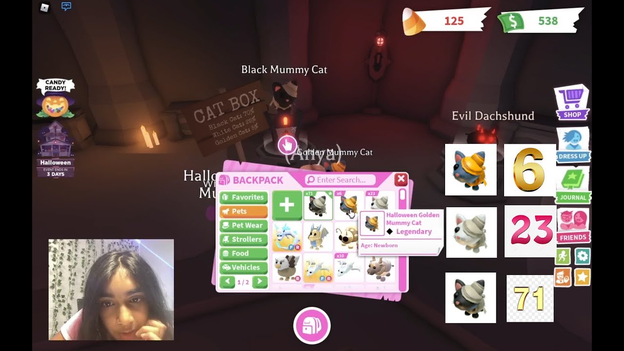 UNBOXING 100 MUMMY CAT BOXES In Adopt Me!! YouTube