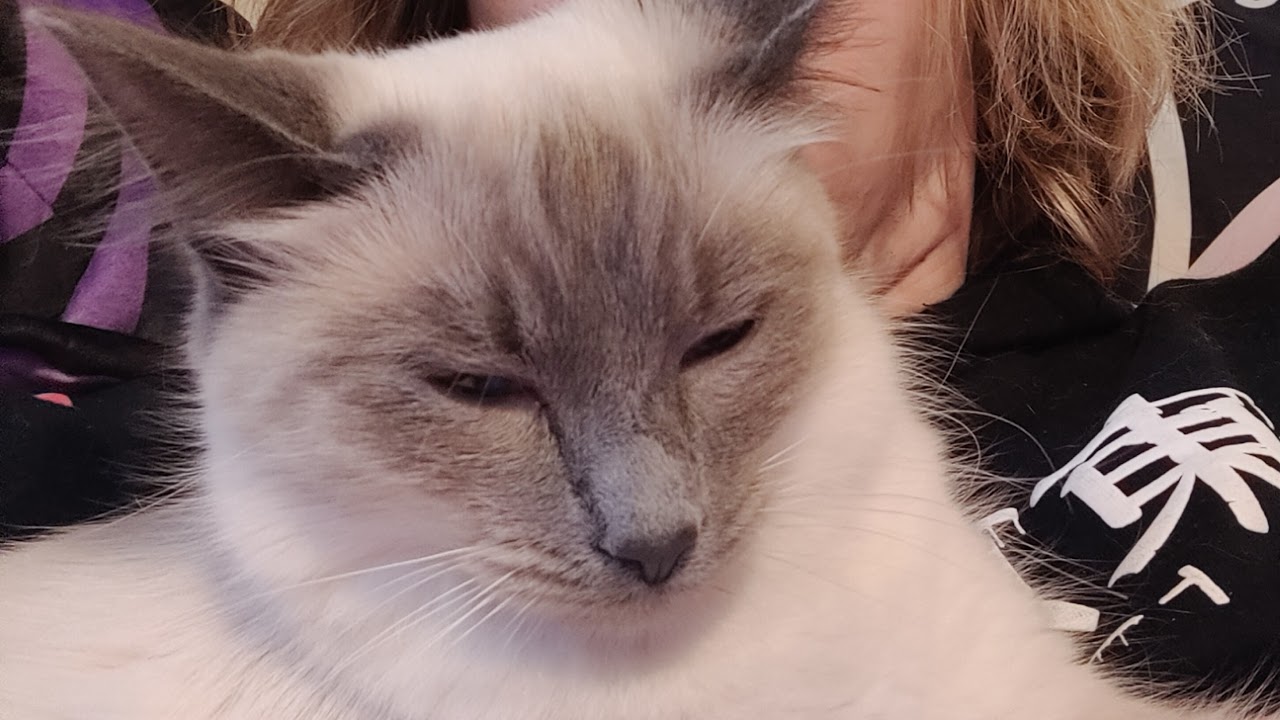 Dabs and Worst XDefiant POV WorldWide