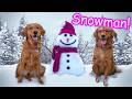 My Dogs Have a SNOW DAY!❄️
