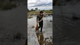 Catching fish net #net #catching