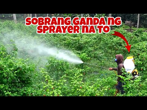 Video: Ano ang mga gamit ng sprayer?