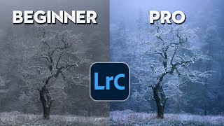 Lightroom Editing Made Easy From Beginner To Pro