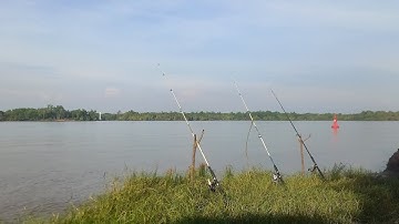 Chia sẻ điểm câu ở Tam Thôn Hiệp - Cần Giờ