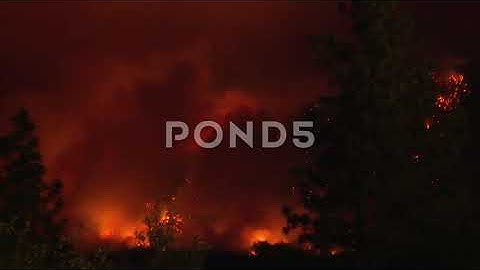 Top Private Collection of Stock Video Photos and Datasets Available