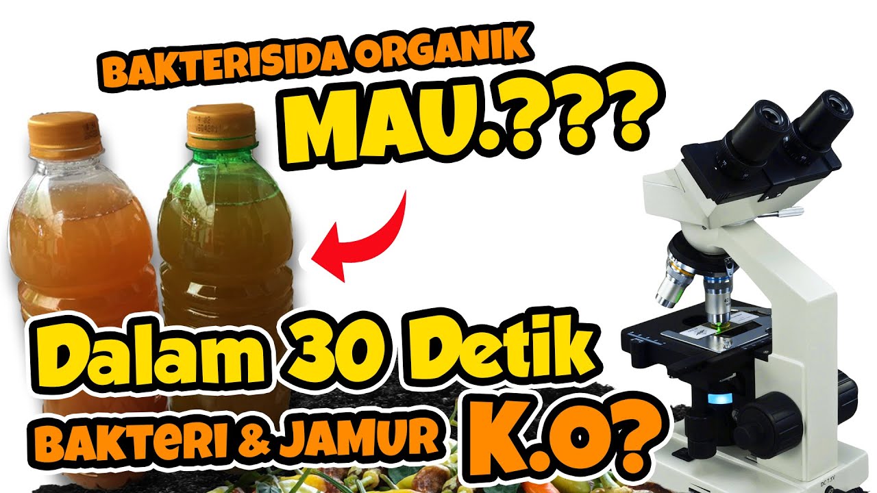 30 DETIK BAKTERI & JAMUR K.O.?? Menguji Kedahsyatan Bakterisida / Fungisida Organik.! ECO ENZYME