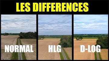 Fichier vidéo brut ou traité, lequel est le meilleur ?