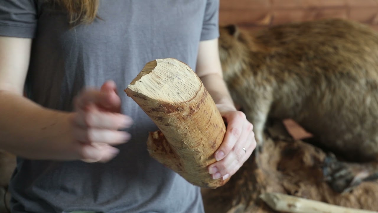 7th Army Training Command