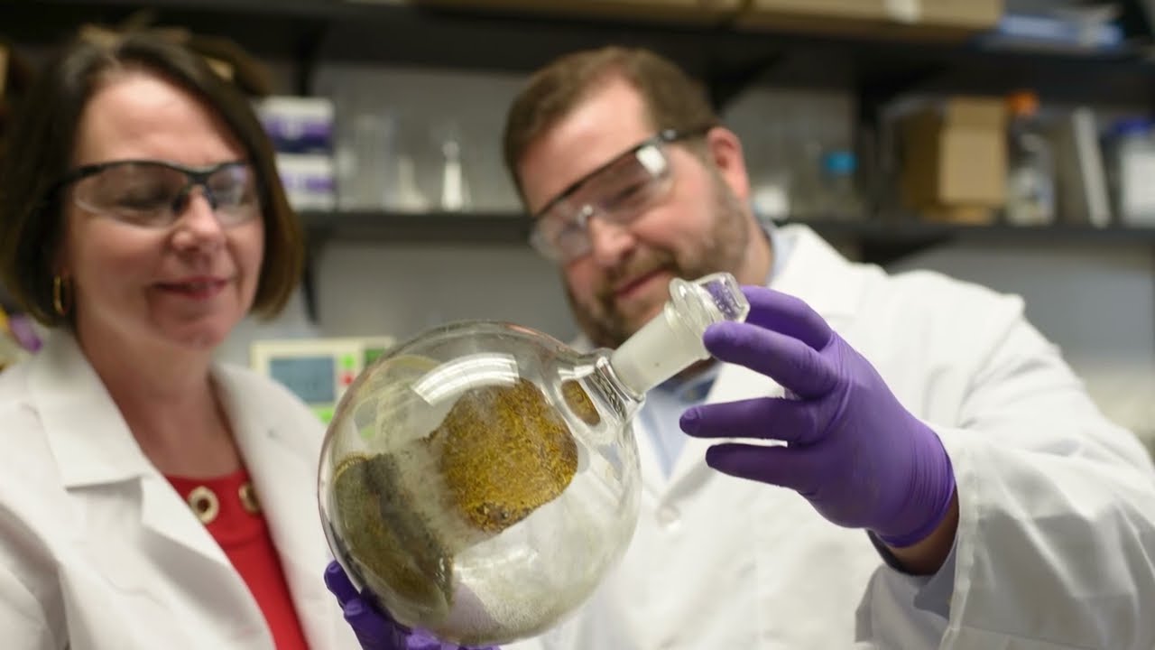 American Kratom Association,  Kratom Regulation & Research